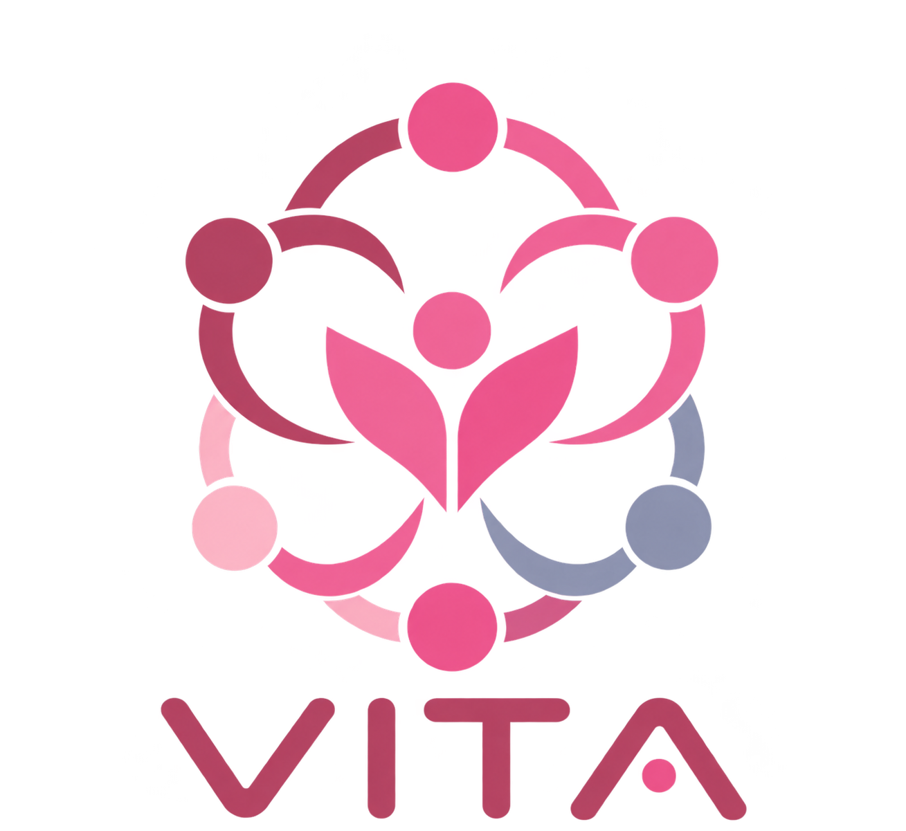 Logo do sistema VITA